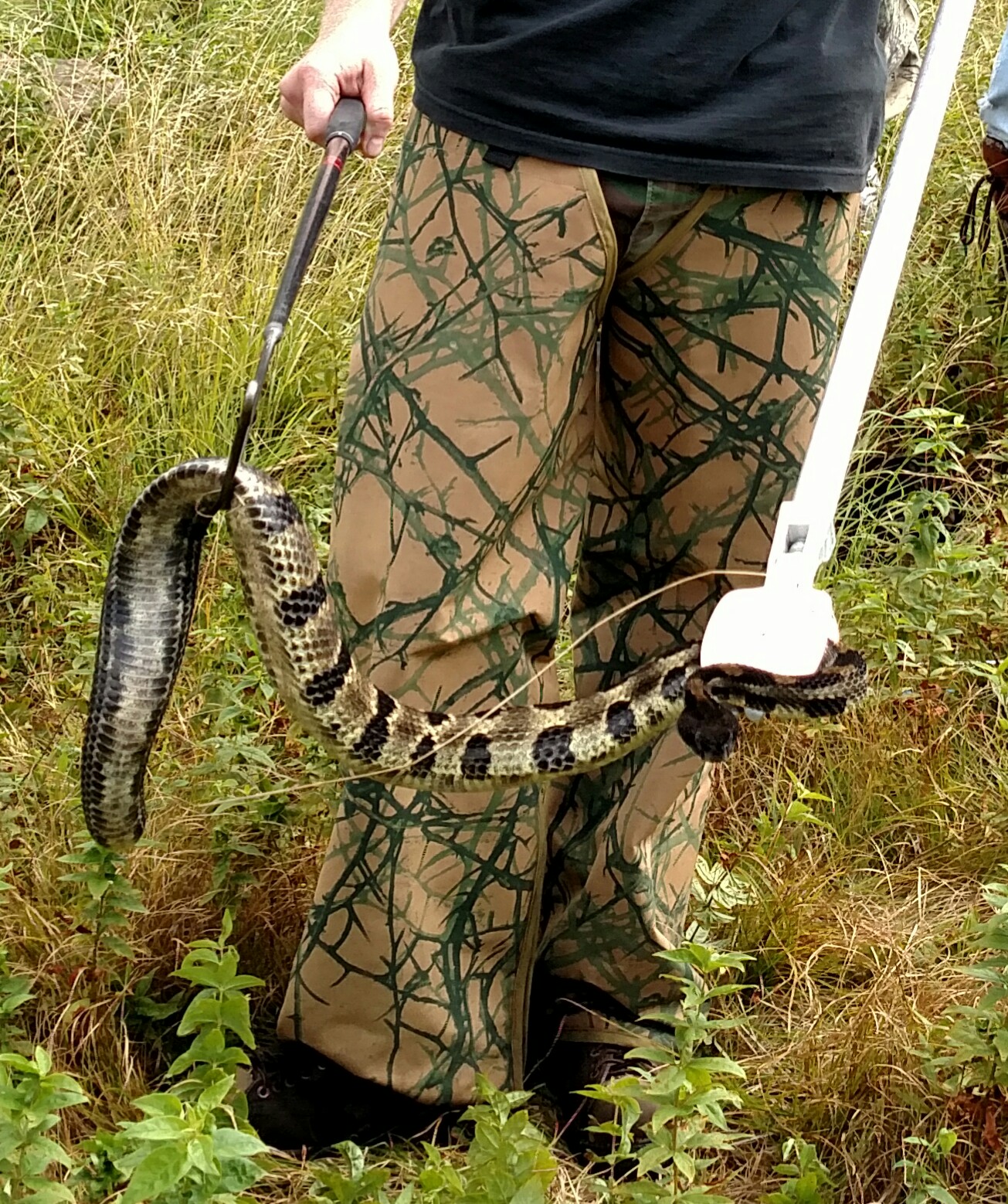 stop-fearing-the-rattler-with-snakearmor-snake-protection